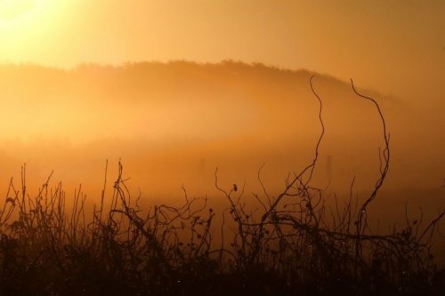 An der Grenze. Zwischen Leben und Tod