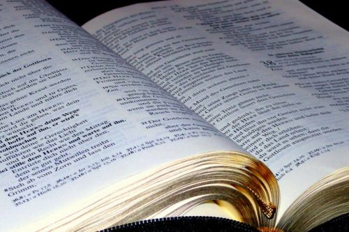 Bibel und Bibelwissenschaft im Volk Gottes