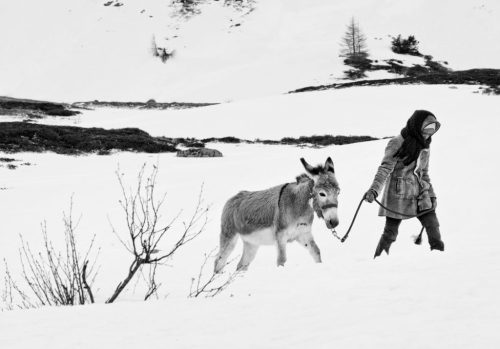 FORTUNA – Zwischen Glücksuche und Ausgeliefertsein.