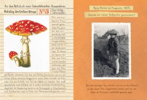 Krug Heimat Pilz und mädchen