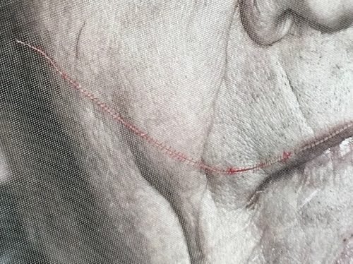 Die fragile Autorität der Opfer