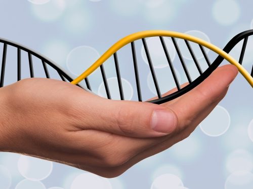 Let’s not talk about Designer Babies: Zum eigentlichen Anliegen von CRISPR-Cas9