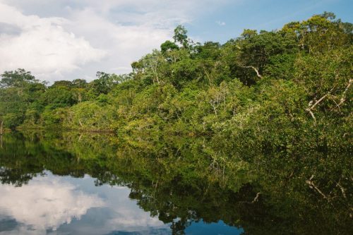 Motivation, Auftrag … und doch auch Enttäuschung: Kommentar zu „Geliebtes Amazonien“