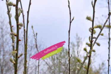 Zwischenraum Palmsonntag