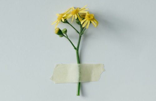 Sonntagsgedanken IV