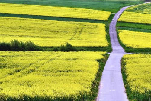 Fülle in der Leere: Was die Ostererfahrungen 2020 uns sagen