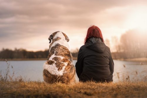 Gemeinsam auf dem Weg zum Hund im Himmel?