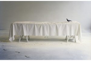 Tisch mit weißer Tischdecke und Taube, weißes Pulver auch auf dem Boden, Fußspuren