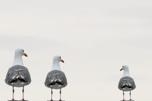 Was unterscheidet uns von „den anderen“?