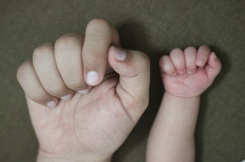 Kirche und Familie: Vom Identischen zum Äquivalenten