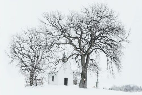 Schande oder Sakrament: Was gilt für die Kirche?