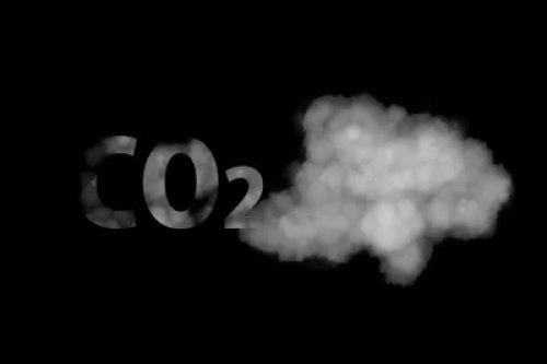 Lebendige Kapellen – symbolische Klimapolitik der besten Art