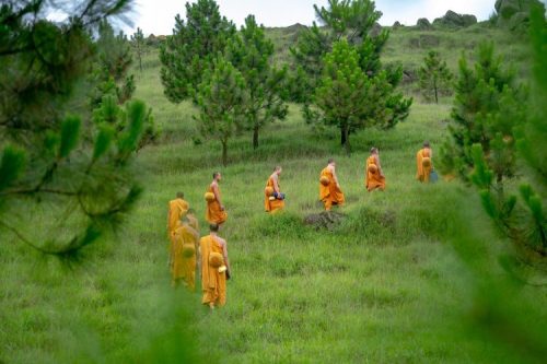 Öko-Buddhismus