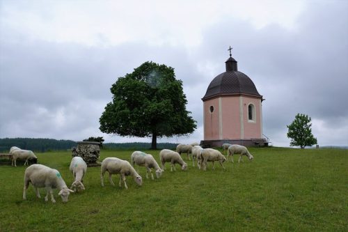 Synodalität mit Zeit- und Ortsindex