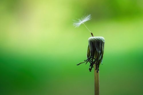 Aus Respekt vor den Menschen: Traumasensibel