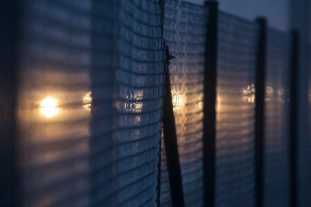 phil-botha-20VfF_v0GZY-unsplash
