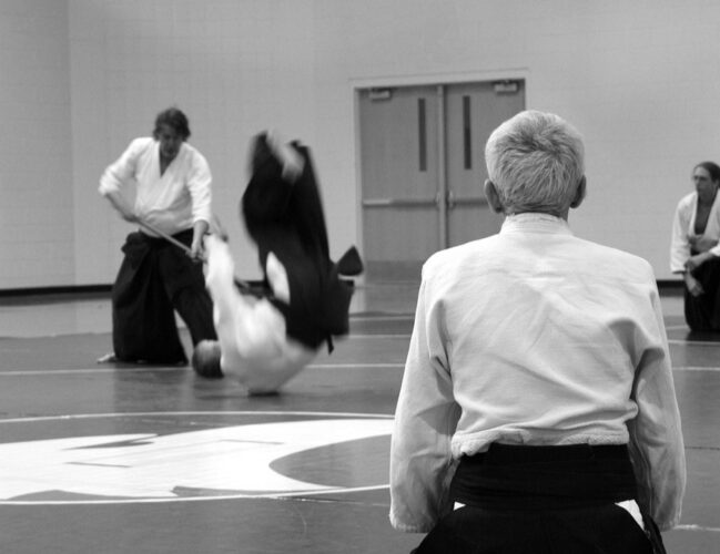 aikido-362951_1280