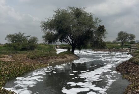 Umweltverschmutzung Mexiko Reexist Festival