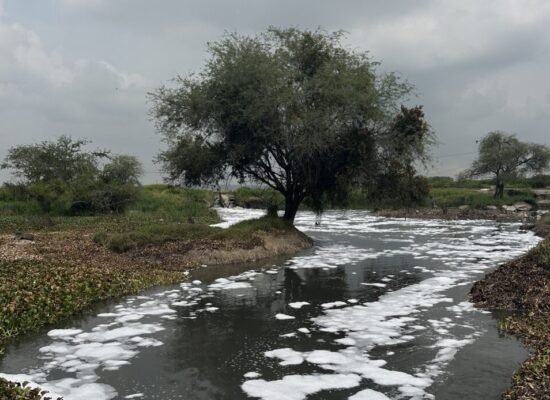 Genug. Re-Existing als Dekolonialisierung des Geistes