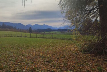 photo_2025-12-07_16-14-03 Feld mit Bergen im Hintergrund