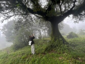 3f7aca8b-387d-4036-862d-43b0412c4170 3f7aca8b-387d-4036-862d-43b0412c4170