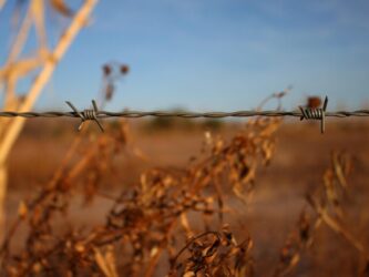 alexis-wire-56291_1920 alexis-wire-56291_1920