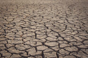 thorstenf-drought-3568260 thorstenf-drought-3568260
